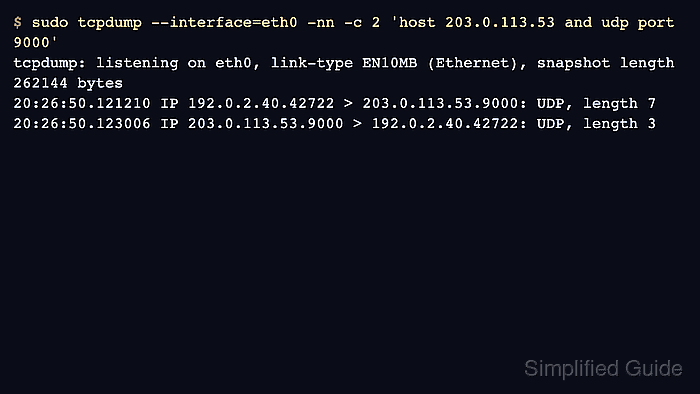 tcpdump output showing UDP request and response datagrams