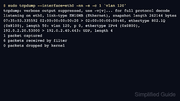 tcpdump output showing an 802.1Q VLAN tag